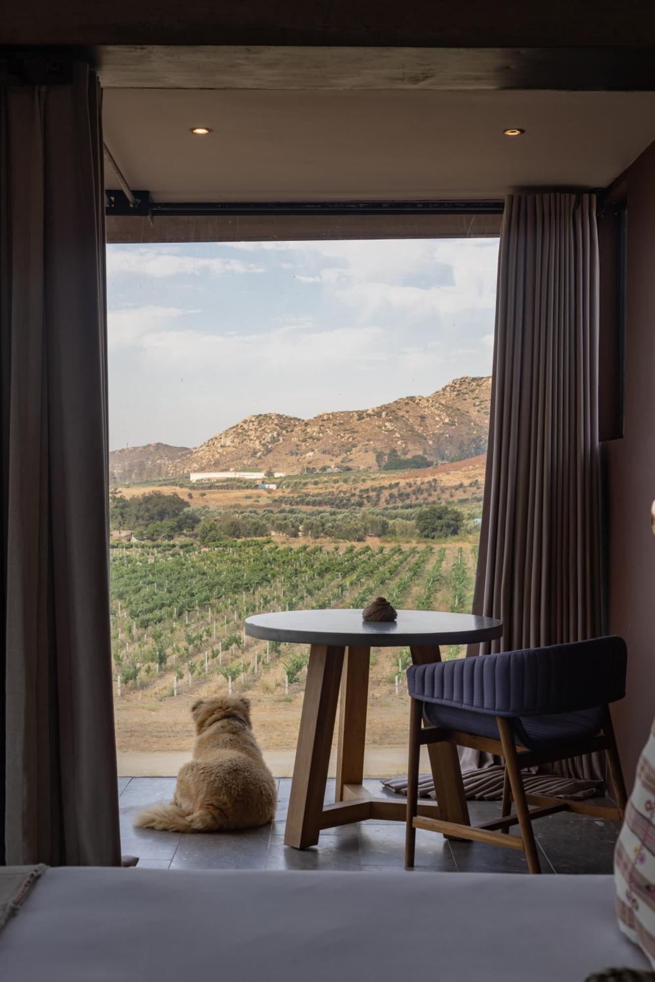 Bruma Wine Resort Valle de Guadalupe Luaran gambar