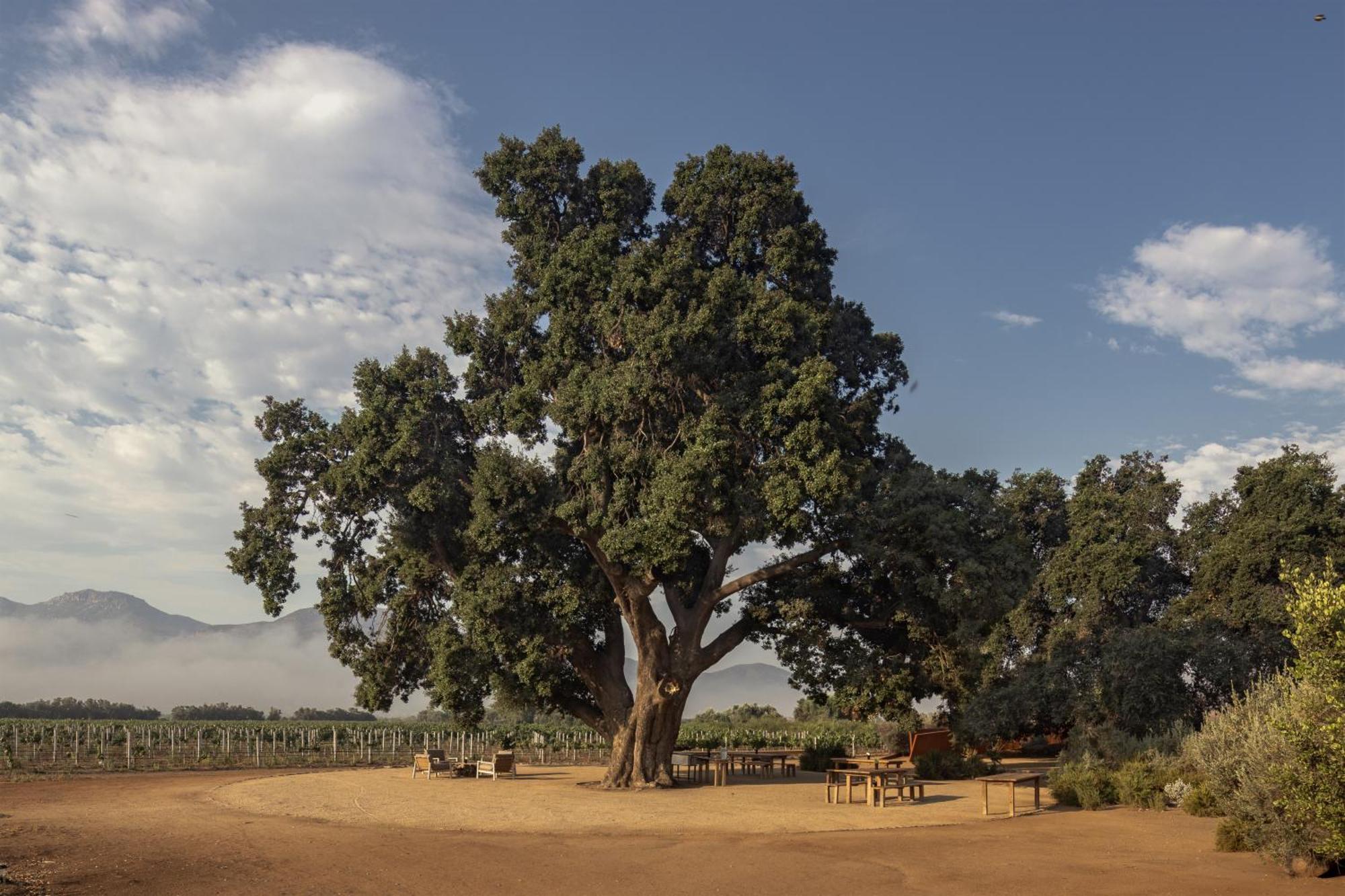Bruma Wine Resort Valle de Guadalupe Luaran gambar