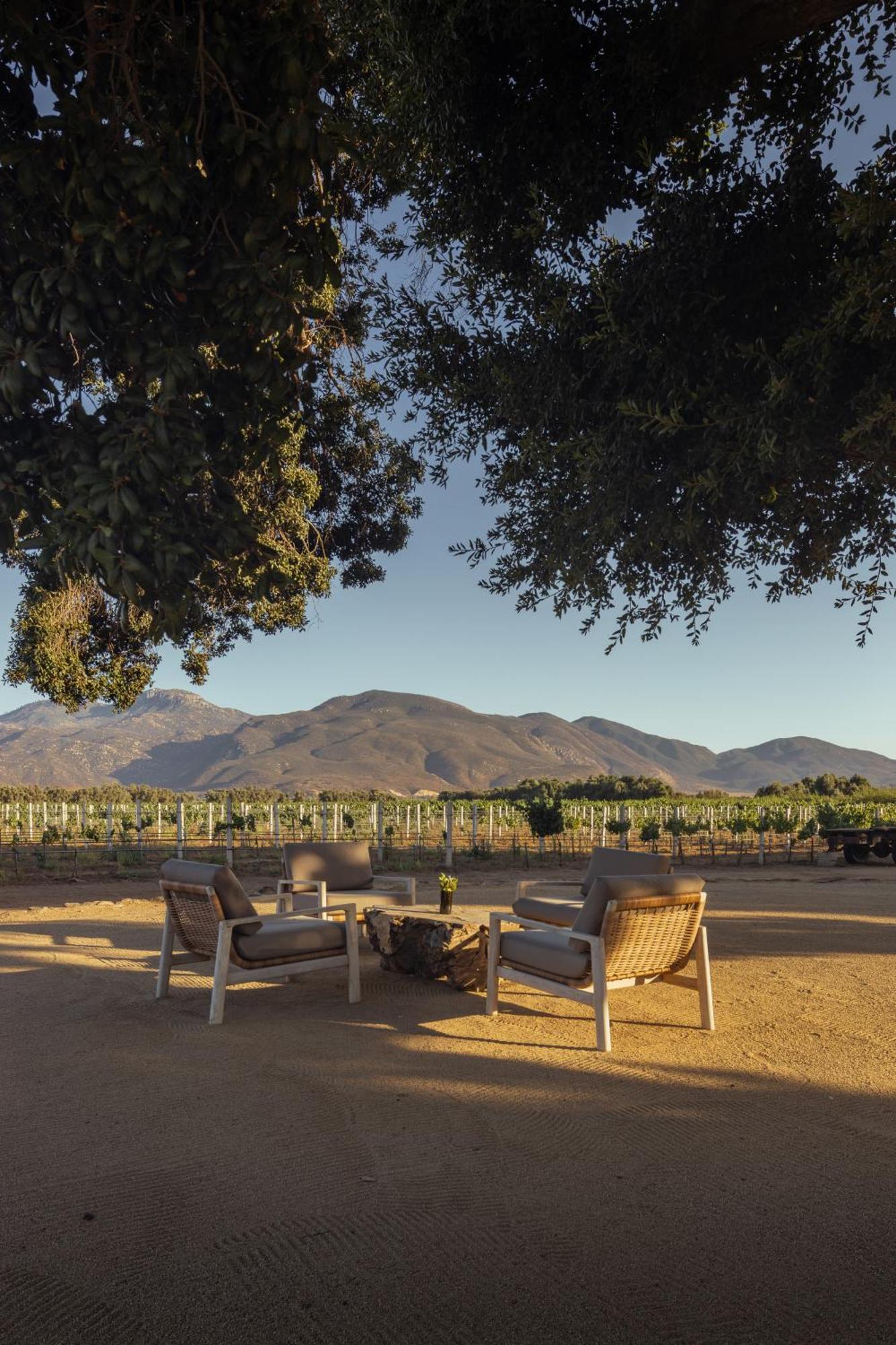 Bruma Wine Resort Valle de Guadalupe Luaran gambar