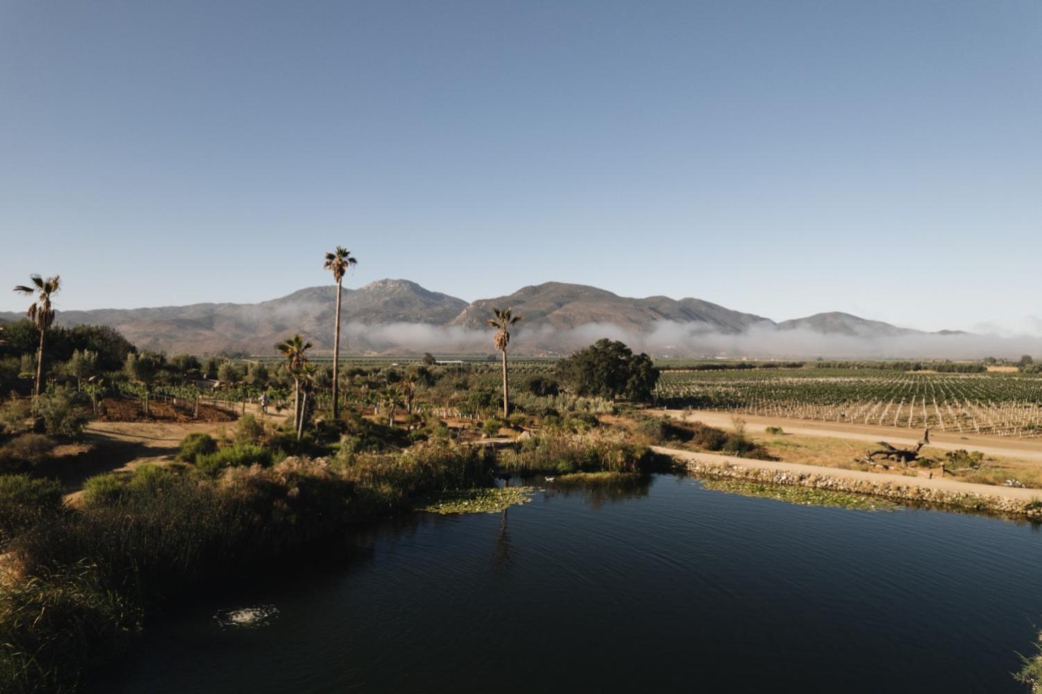 Bruma Wine Resort Valle de Guadalupe Luaran gambar