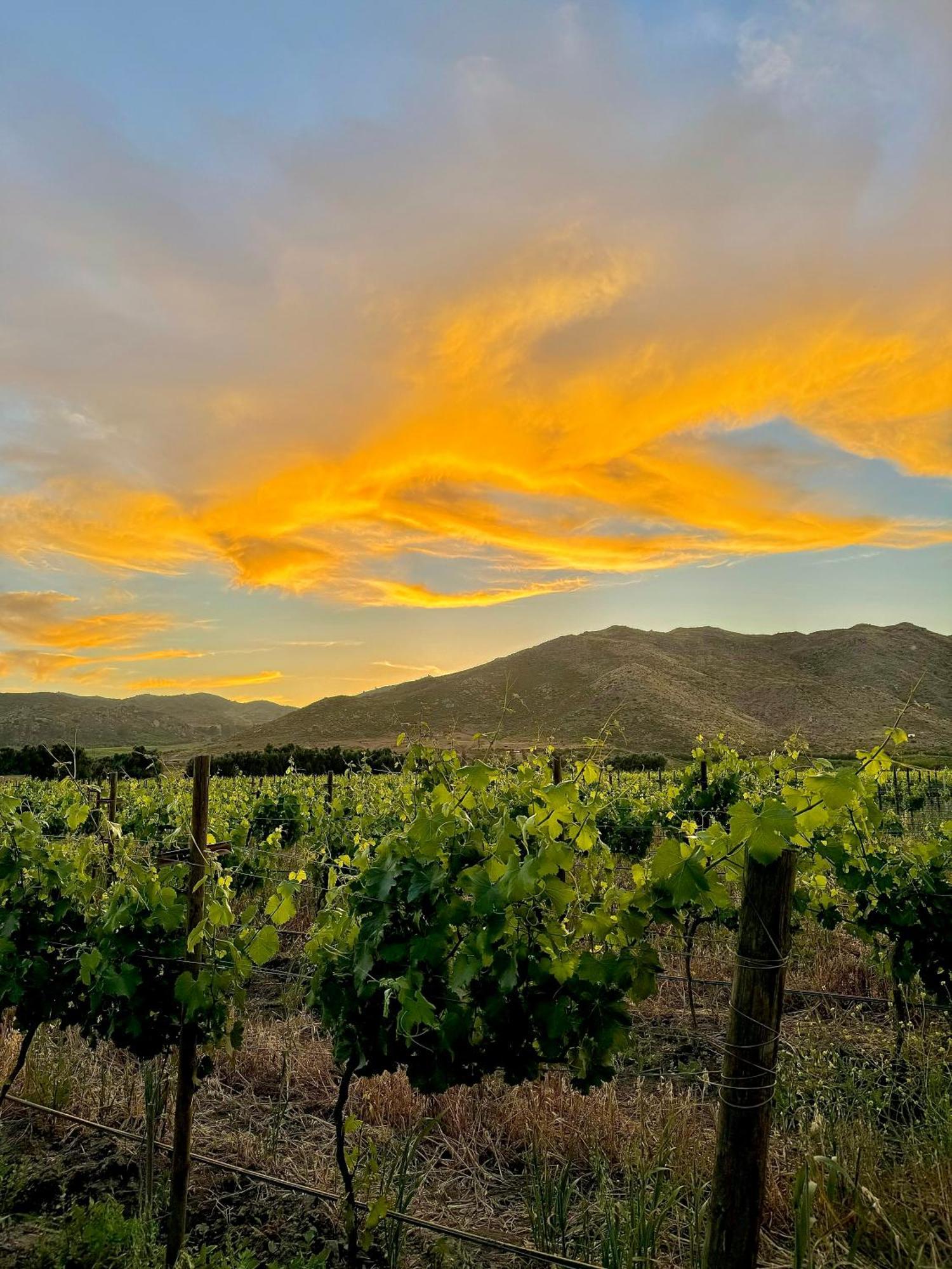 Bruma Wine Resort Valle de Guadalupe Luaran gambar